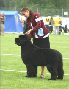 Monty getting his championtitle