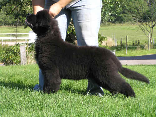 steffie3months Steffie 3 months