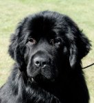 Robin headpicture at 11 months