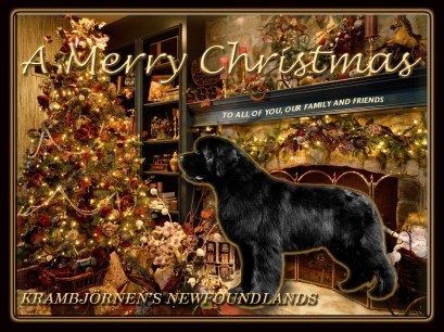 Merry Christmas And Happy New Year