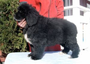 269375_4998719324715_2000763267_n