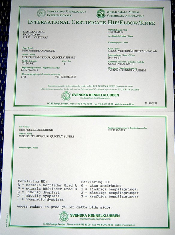 Tara official hip document