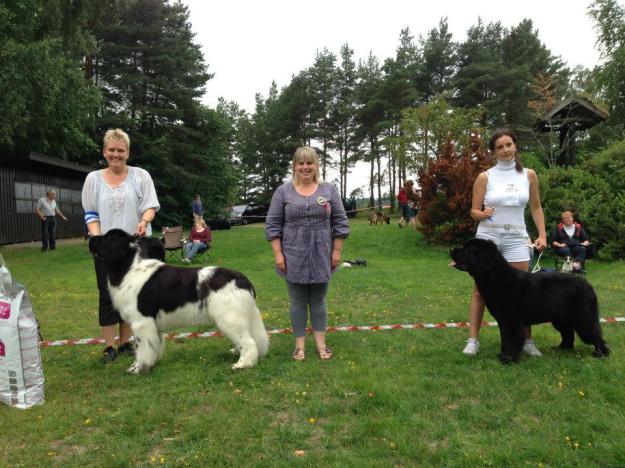 Winner intermediate class