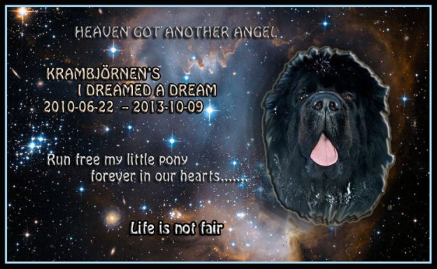 Pinglan, Smulan, Pling-Pling, Tingeling, My little Pony ~ kärt barn har många namn.