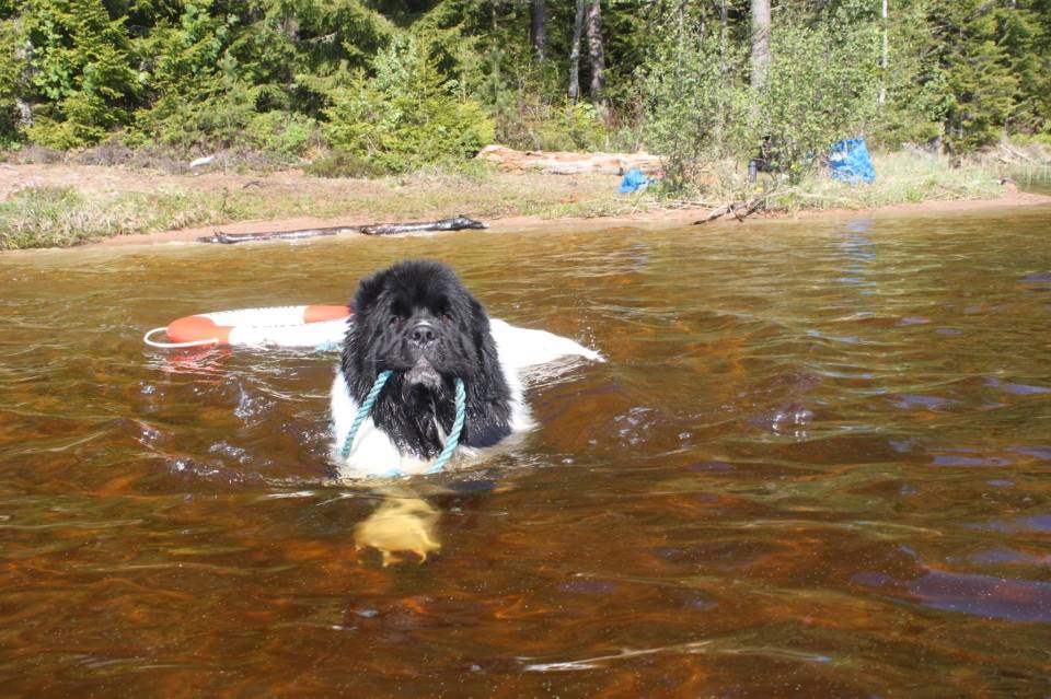 Just be calm, I will save you