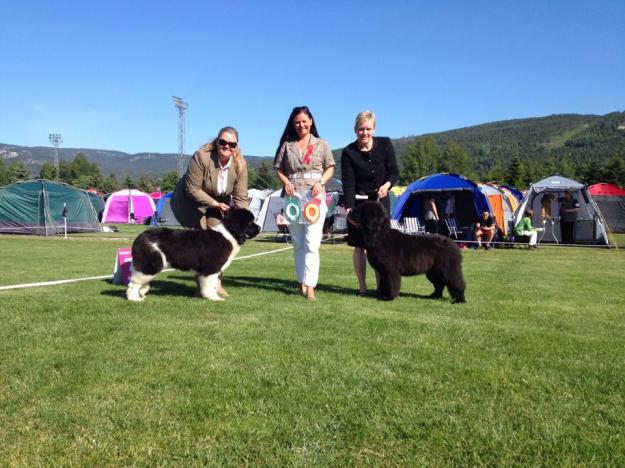 Jack och Gunda BIR och BIM