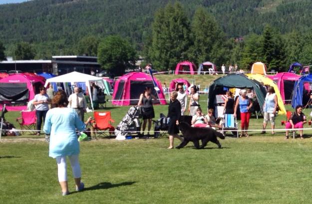 Fantastiska rörelser och super topline