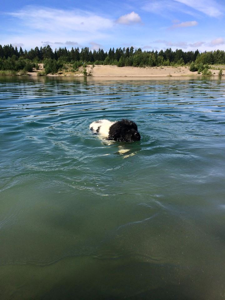Swimming at 3 months old