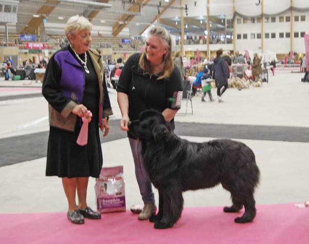 12096104_870750933039187_4339562813532785588_n