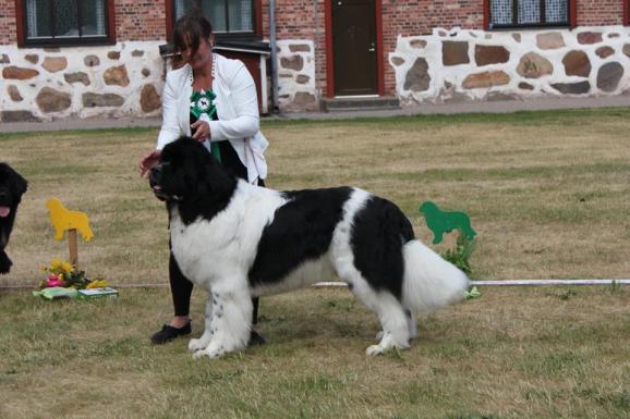 13412889_1208262359197910_8382877606205018221_n