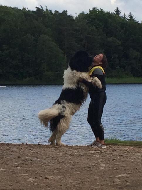 13718745_1034611196653159_1259622438835858706_n