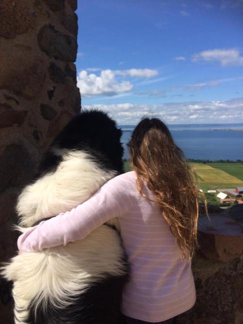 13731632_1228627903828022_9042748698664584950_n