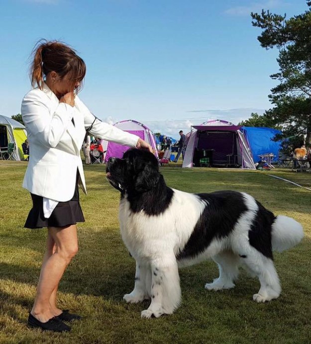 21034523_1647223561968452_2330776242674130777_n